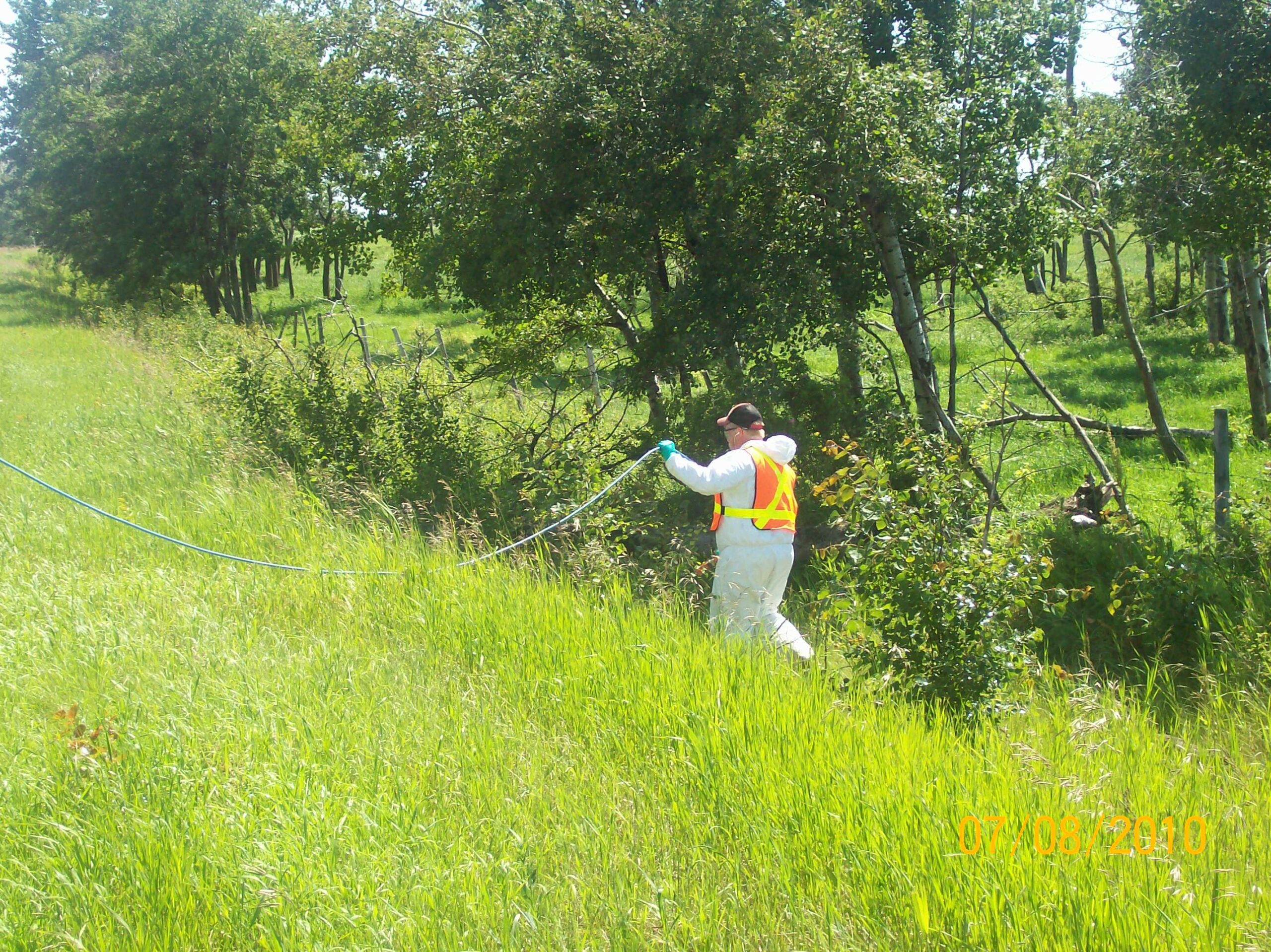 Brush Spraying_2_2