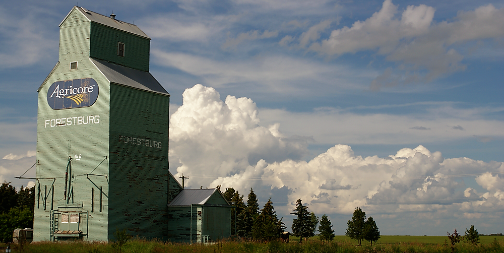 webforestburg elevator