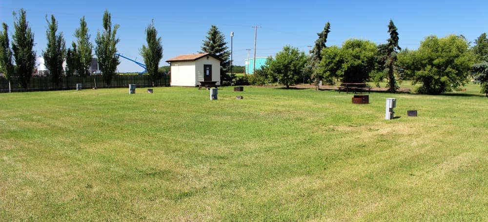 Green grass in foreground with small white sided shed in background